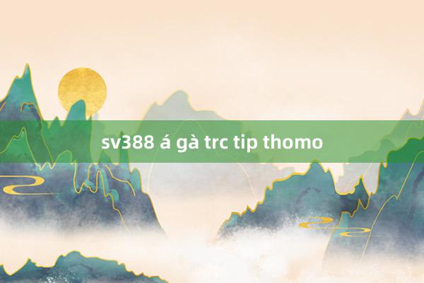 sv388 á gà trc tip thomo