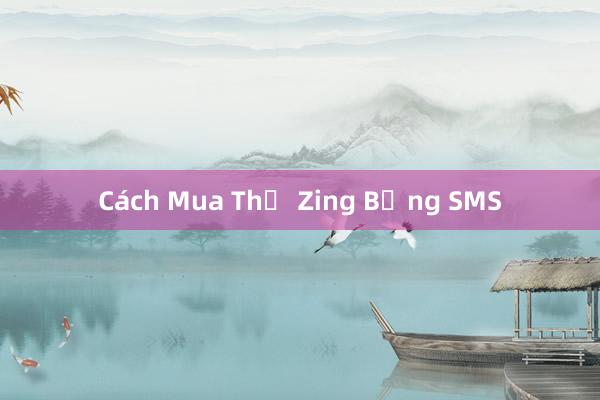 Cách Mua Thẻ Zing Bằng SMS