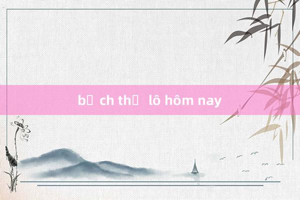 bạch thủ lô hôm nay