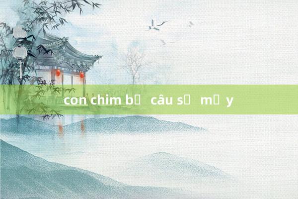 con chim bồ câu số mấy