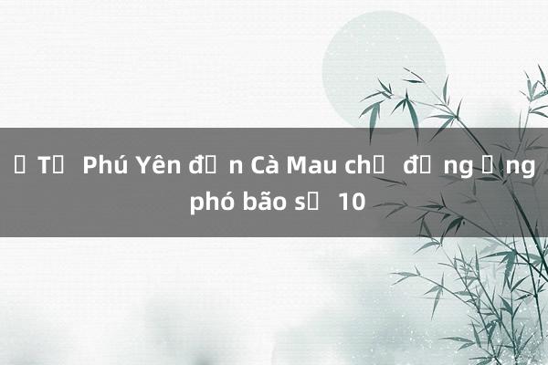 ​Từ Phú Yên đến Cà Mau chủ động ứng phó bão số 10