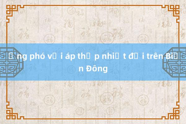 Ứng phó với áp thấp nhiệt đới trên Biển Đông