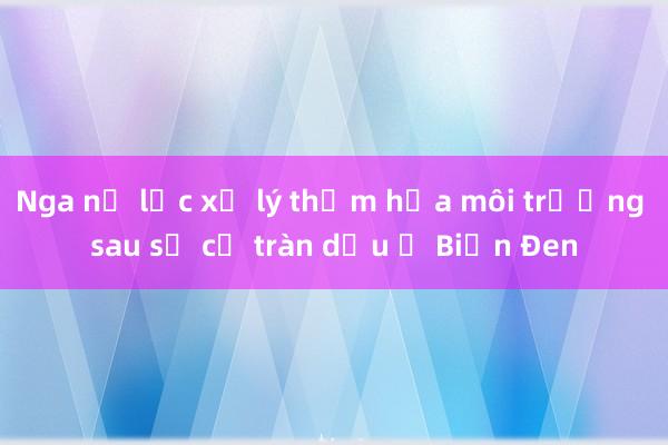 Nga nỗ lực xử lý thảm họa môi trường sau sự cố tràn dầu ở Biển Đen