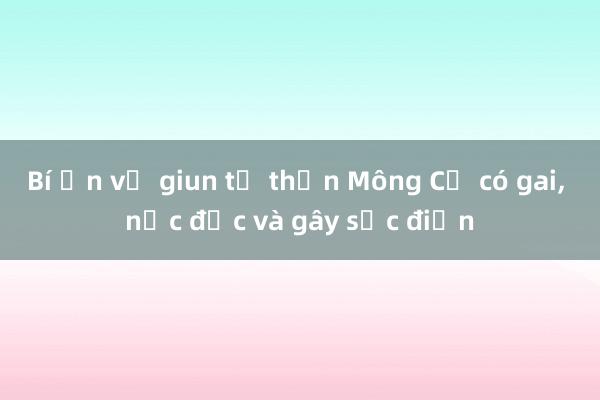 Bí ẩn về giun tử thần Mông Cổ có gai， nọc độc và gây sốc điện