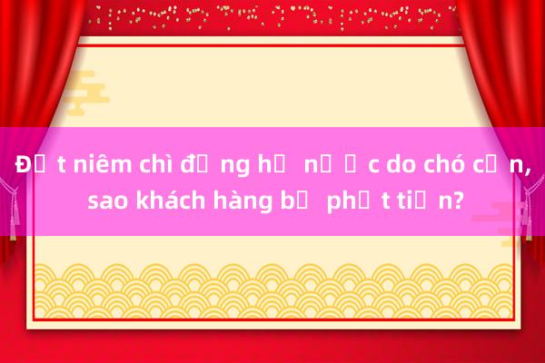 Đứt niêm chì đồng hồ nước do chó cắn， sao khách hàng bị phạt tiền?