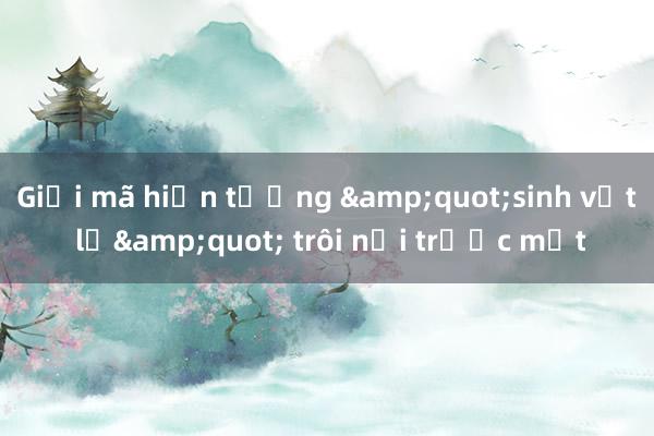 Giải mã hiện tượng &quot;sinh vật lạ&quot; trôi nổi trước mắt