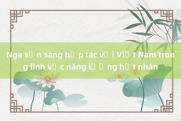 Nga sẵn sàng hợp tác với Việt Nam trong lĩnh vực năng lượng hạt nhân