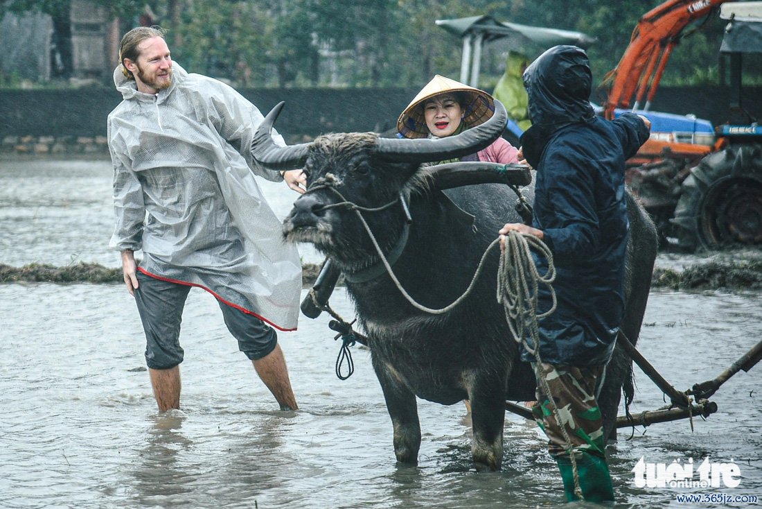 Du khách đội mưa， lội bùn cày ruộng ở Hội An - Ảnh 1.